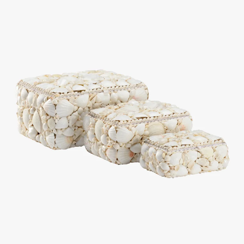 Sanibel White Shell Box Set